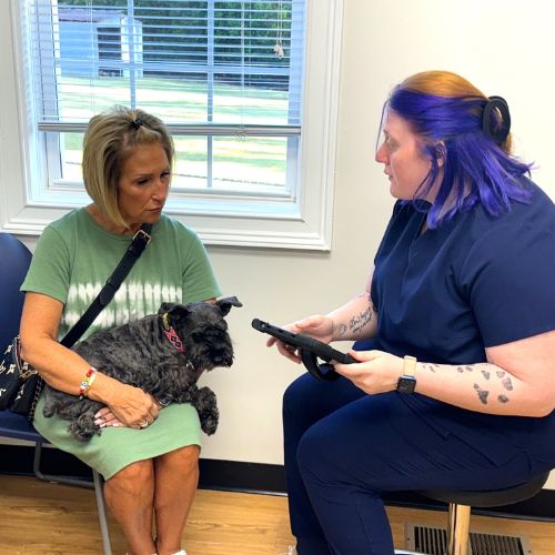 A vet holding cute dog