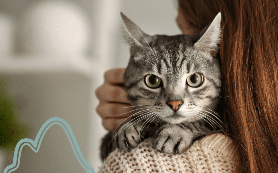 A lady holding a cat