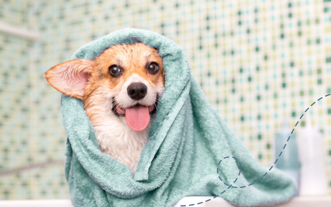 Bath Tips