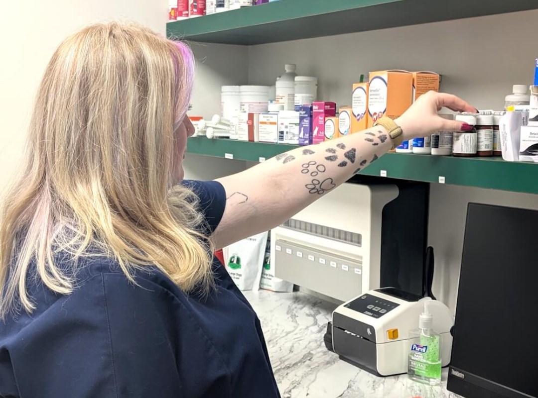 pharmacy shelf