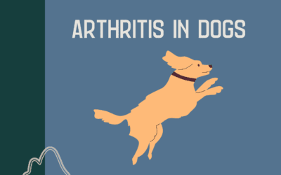 Arthritis in Dogs