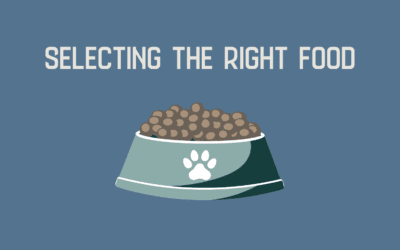 Selecting the Right Food