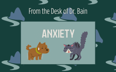 Helping Your Pet Overcome Anxiety: Signs, Triggers & Treatment Options