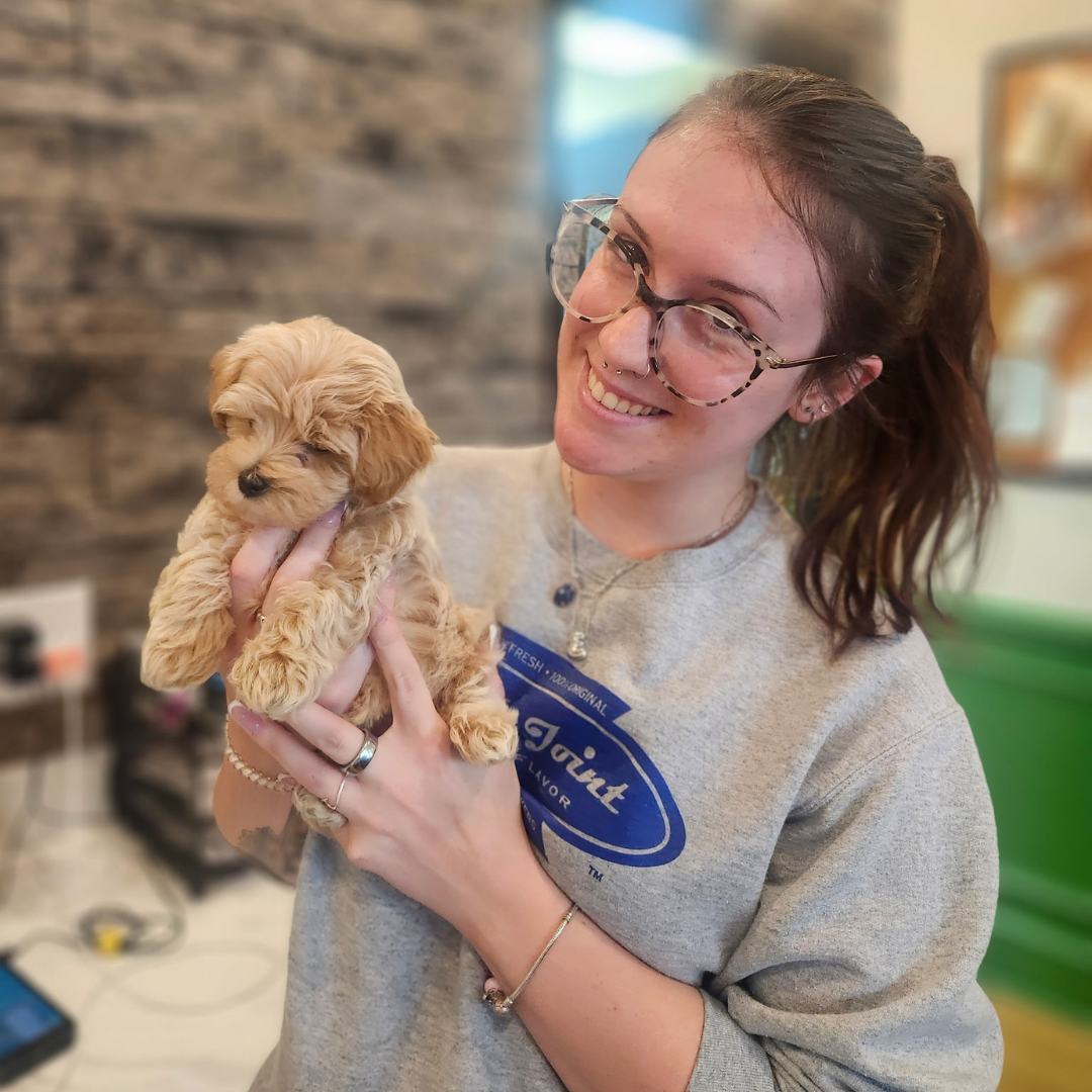 A Southern Trails Vet staff member holding a puppy.